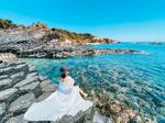 Tour Quy Nhơn - Phú Yên: Kỳ Co - Eo Gió - Gành Đá Đĩa - Tháp Nghinh Phong
